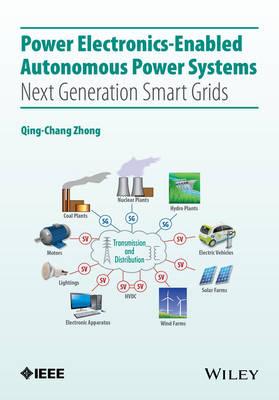 Power Electronics-Enabled Autonomous Power Systems: Next Generation Smart Grids