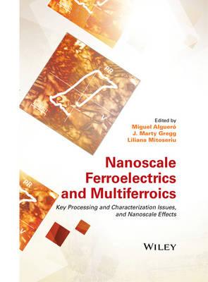 Nanoscale Ferroelectrics and Multiferroics: Key Processing and Characterization Issues, and Nanoscale Effects, 2 Volumes