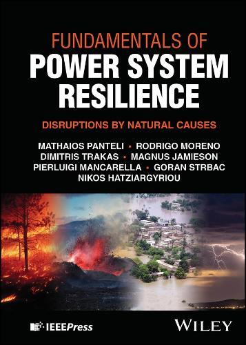 Fundamentals of Power System Resilience: Disruptions by Natural Causes
