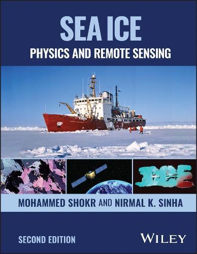 Sea Ice: Physics and Remote Sensing
