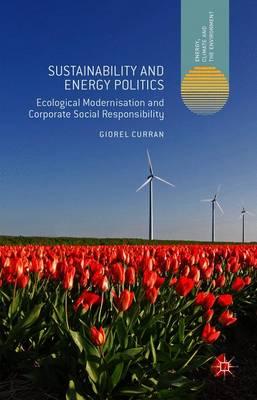 Sustainability and Energy Politics: Ecological Modernisation and Corporate Social Responsibility