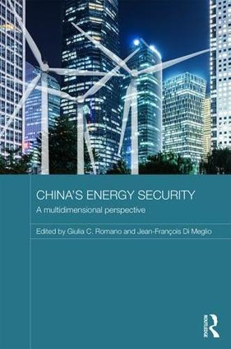 China's Energy Security: A Multidimensional Perspective