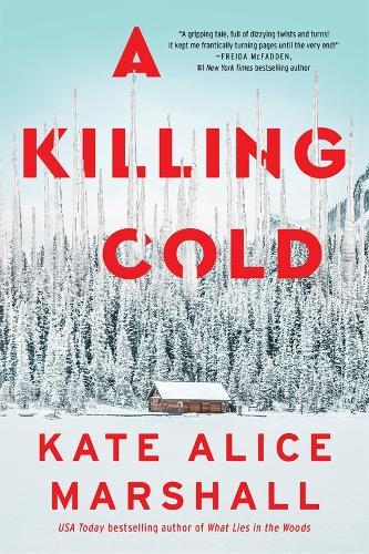 A Killing Cold: A Novel