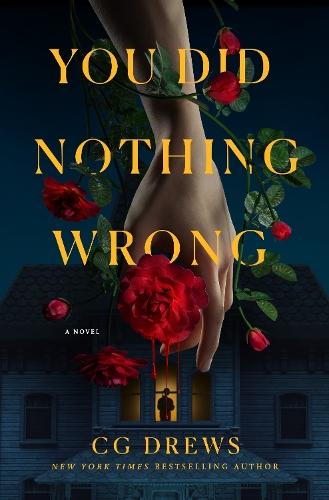 You Did Nothing Wrong: A Novel