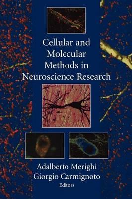 Cellular and Molecular Methods in Neuroscience Research