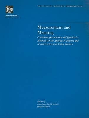 Measurement and Meaning: Combining Quantitative and Qualitative Methods for the Analysis of Poverty and Social Exclusion in Latin America
