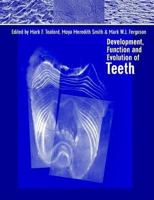 Development, Function and Evolution of Teeth