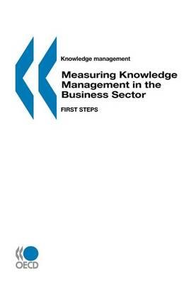 Measuring Knowledge Management in the Business Sector: First Steps. Knowledge Management.