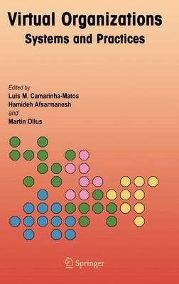 Virtual Organizations: Systems and Practices