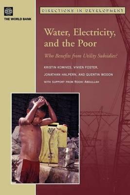 Water, Electricity and the Poor: Who Benefits from Utility Subsidies?