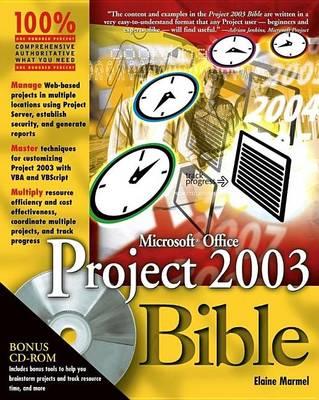 Microsoft Office Project 2003 Bible