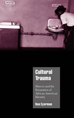 Cultural Trauma: Slavery and the Formation of African American Identity. Cambridge Cultural Social Studies