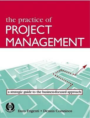 Practice of Project Management