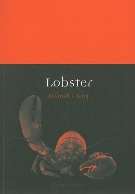 Lobster