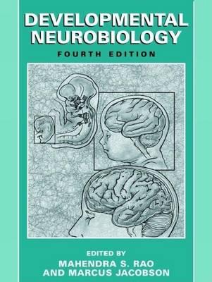 Developmental Neurobiology