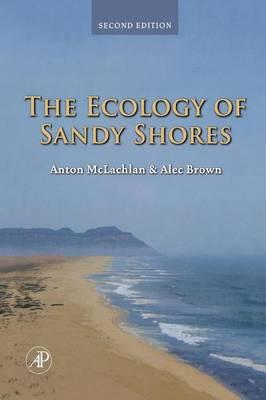 Ecology of Sandy Shores
