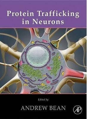 Protein Trafficking in Neurons