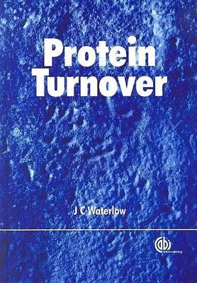 Protein Turnover