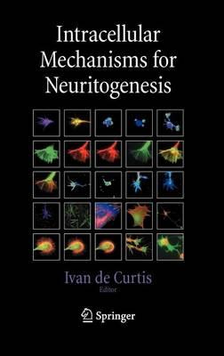 Intracellular Mechanisms for Neuritogenesis