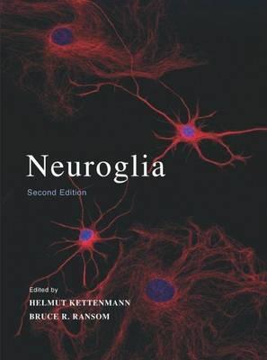 Neuroglia