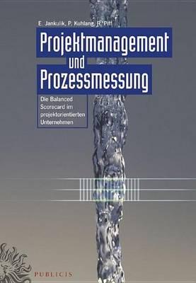 Projektmanagement Und Prozessmessung