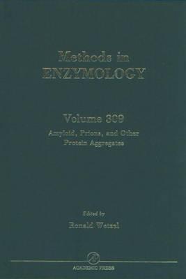 Amyloid, Prions, and Other Protein Aggregates