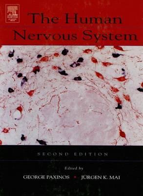 The Human Nervous System