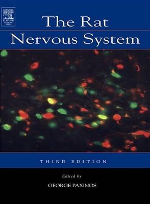 The Rat Nervous System