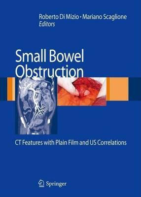 Small-Bowel Obstruction: CT Features with Plain Film and Us Correlations