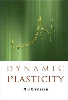 Dynamic Plasticity
