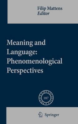 Meaning and Language: Phenomenological Perspectives