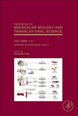 Genetics of Stem Cells