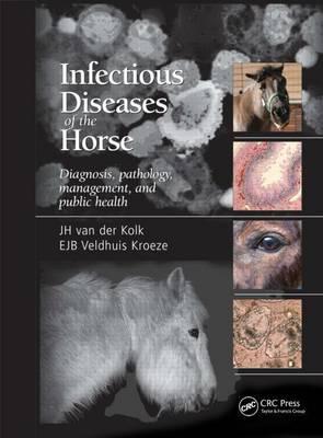 Infectious Diseases of the Horse
