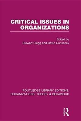Critical Issues in Organizations