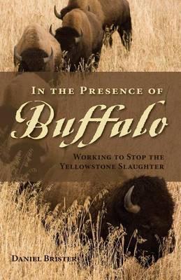 In the Presence of Buffalo: Working to Stop the Yellowstone Slaughter