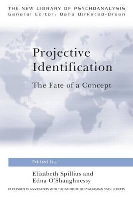 Projective Identification