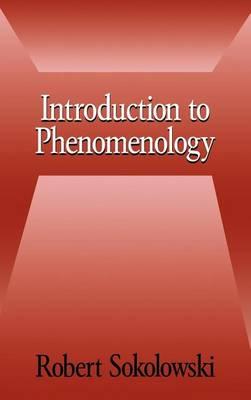 Introduction to Phenomenology