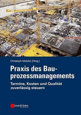 Praxis Des Bauprozessmanagements: Grossprojekte Kostengunstig Und Termingerecht Realisieren
