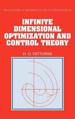 Infinite Dimensional Optimization and Control Theory