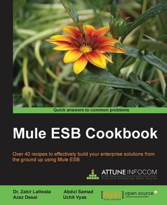 Mule Esb Cookbook