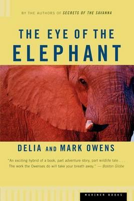 Eye of the Elephant