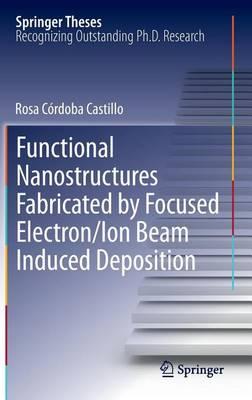 Functional Nanostructures Fabricated by Focused Electron/Ion Beam Induced Deposition