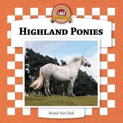 Highland Ponies