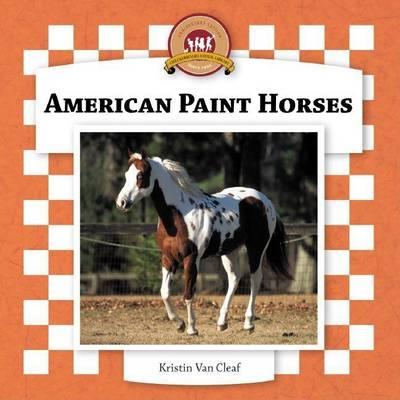 American Paint Horses