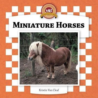 Miniature Horses