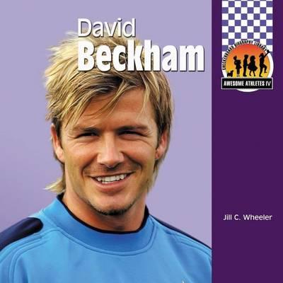 David Beckham eBook