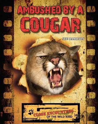 Ambushed by a Cougar