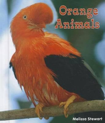 Orange Animals