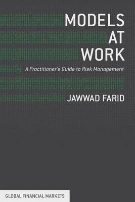 Models at Work: A Practitioner's Guide to Risk Management