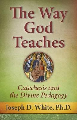 Way God Teaches, The: Catechesis and the Divine Pedagogy